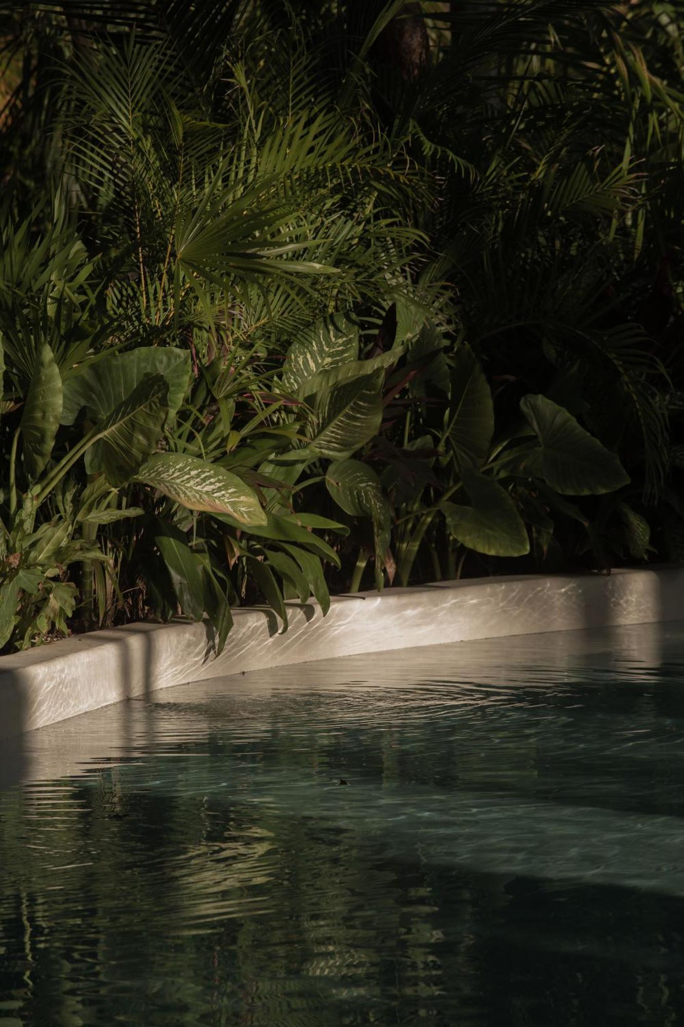 Hotel Milam Tulum Dış mekan fotoğraf